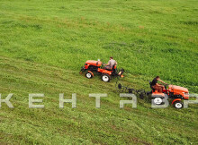 Минитрактор Кентавр Т-4 LITE 6+2 (Toyokawa) STD agri 5,00-12 / 9,50-16 + (фреза/плуг)