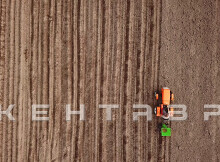 Минитрактор Кентавр Т-5 LITE 6+2 (Toyokawa) STD agri 5,00-12 / 6,50-16 + (фреза/плуг)