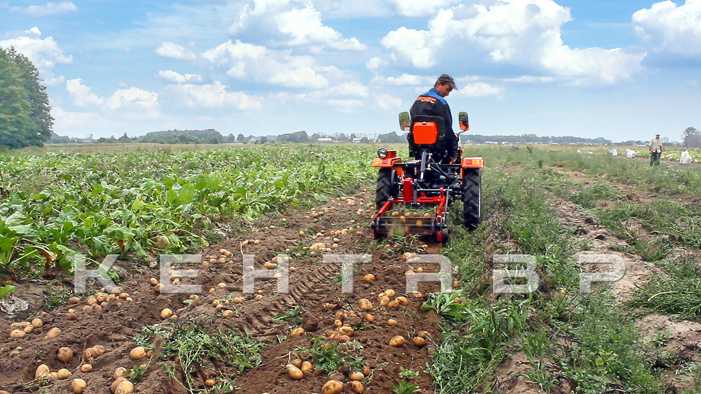 Минитрактор Кентавр Т-4 LITE 6+2 (Toyokawa) STD agri 5,00-12 / 9,50-16 + (фреза/плуг)